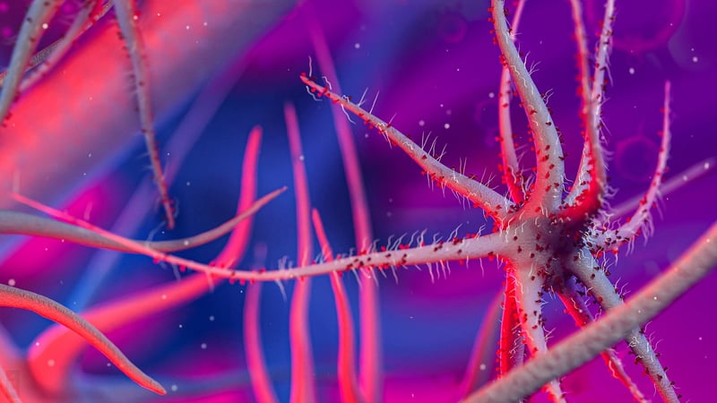 Microbial Life Forms